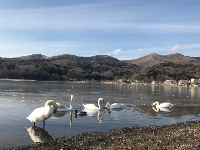 楽天ステイ山中湖 　湖